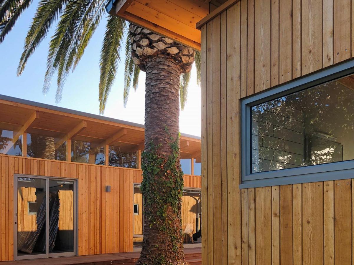 Palm And Pine Cottage Kapstaden Eksteriør billede